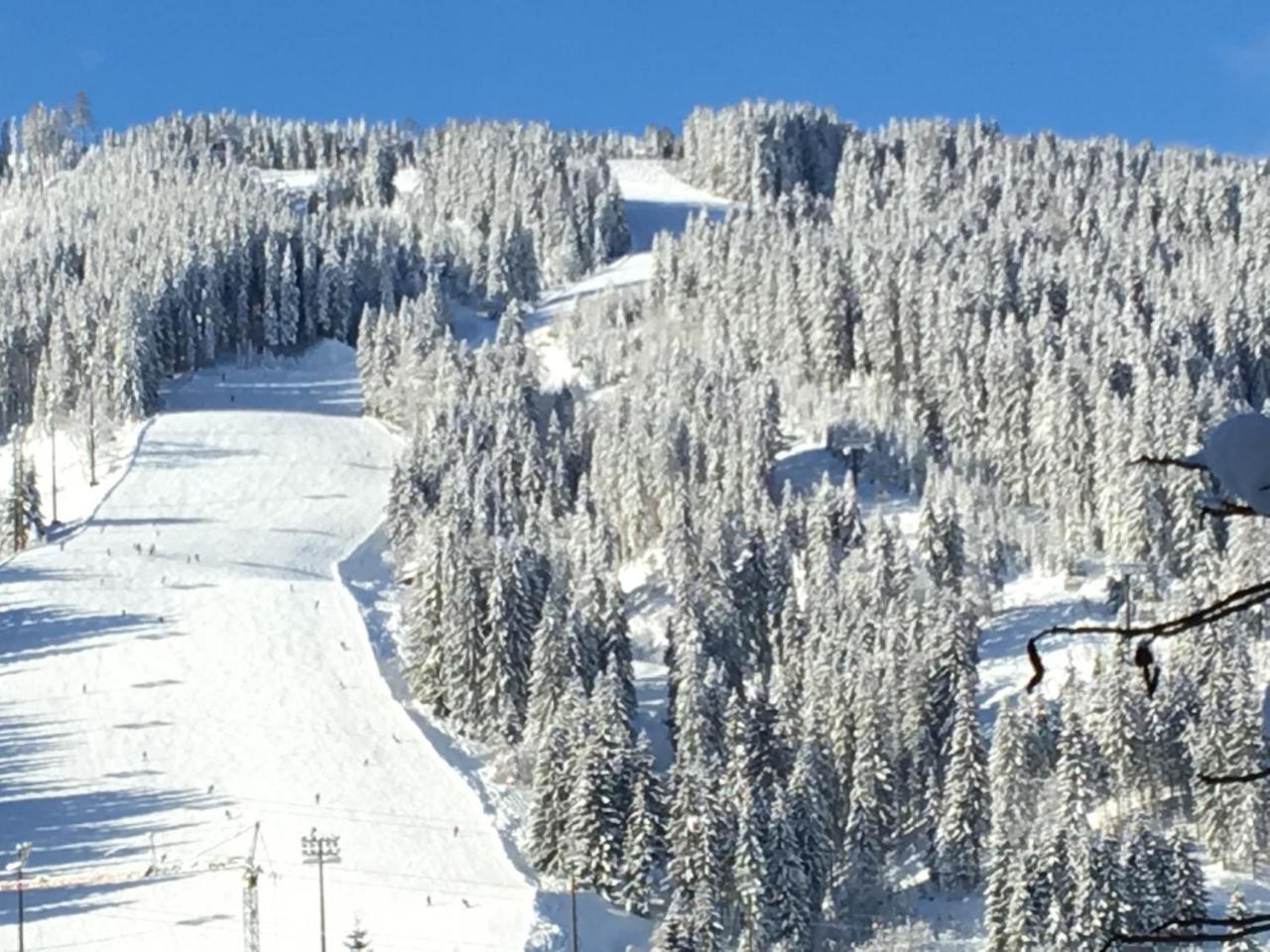 Villa 7 Flachau Dış mekan fotoğraf